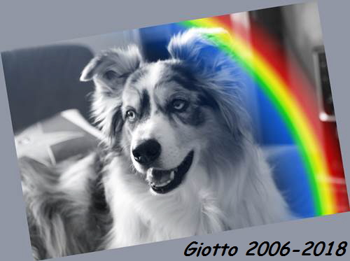 Giotto_2006-2018